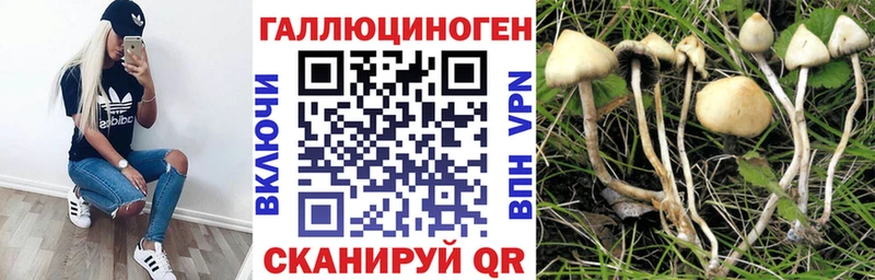 Галлюциногенные грибы мицелий  Лысково 